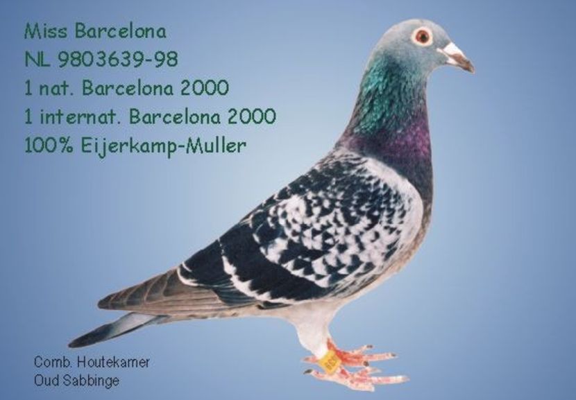 1 int Barcelona 2000 - Barcelona internațional