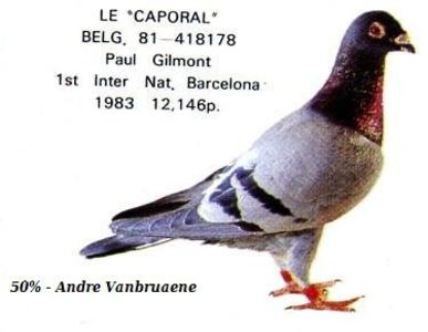 1 int Barcelona 1983 - Barcelona internațional