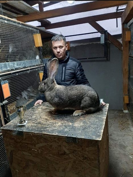 Erdei Catalin - Cupa CRISANA 2020