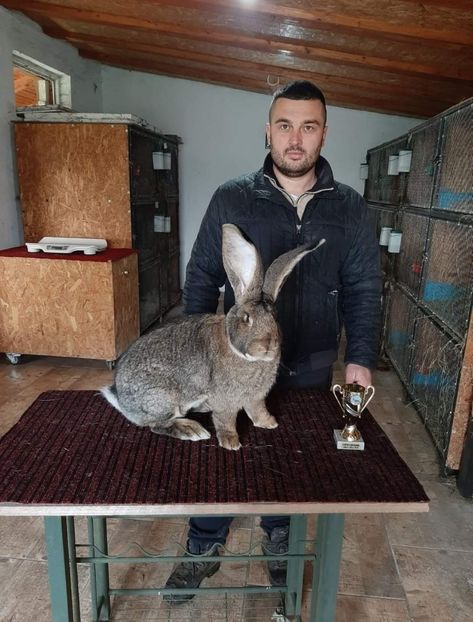 Malita Boby - Cupa CRISANA 2020