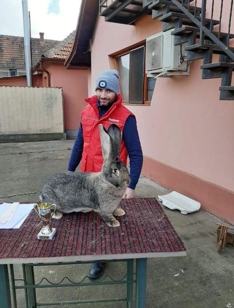 Blaga Mihai - Cupa CRISANA 2020