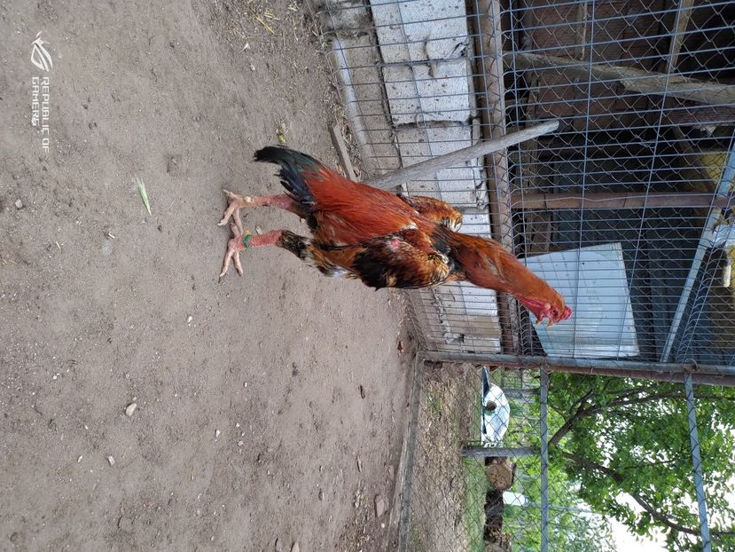 P_20200514_204757 - 2020