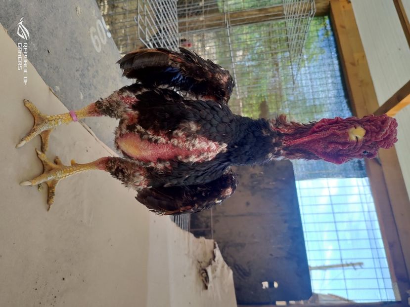 P_20200525_185342 - 2020