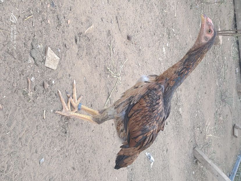 P_20200920_185755 - 2020