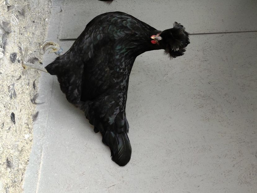 P_20201001_162321 - 2020