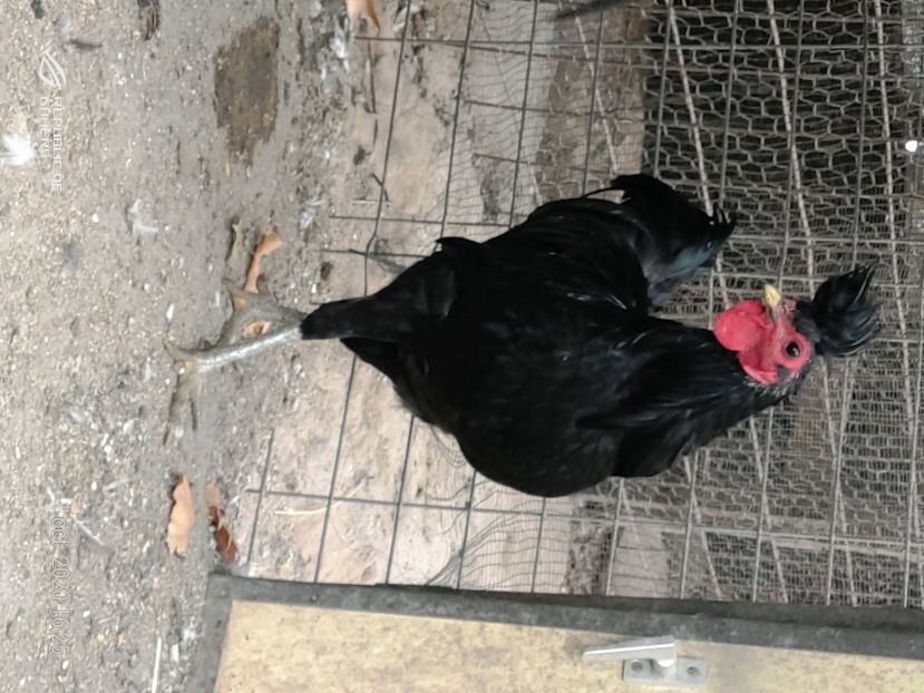 P_20201001_162543 - 2020