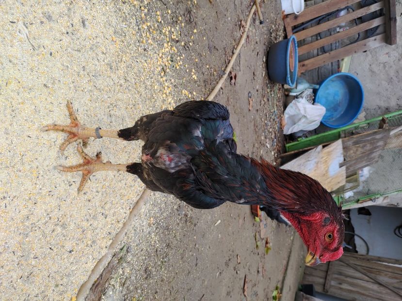 P_20201016_102521 - 2020