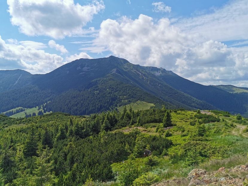 Șaua Negoiu(1712m) - Munții Călimani-iulie 2020