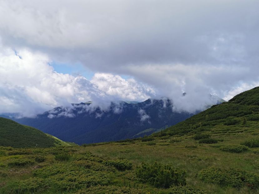  - Munții Călimani-iulie 2020