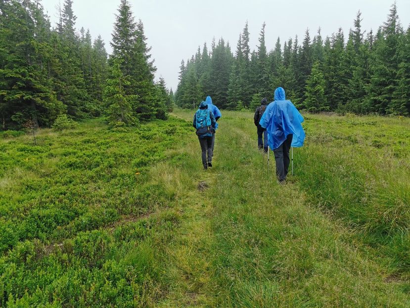  - Munții Călimani-iulie 2020