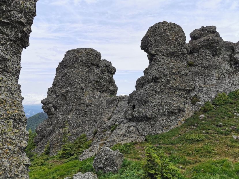  - Munții Călimani-iulie 2020