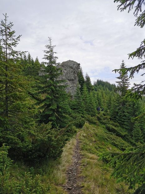  - Munții Călimani-iulie 2020