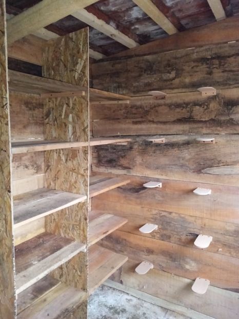 Interior. - Crescătoria nouă