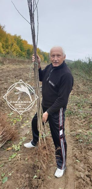 pepiniera srb 1 - PAR soiul ANDJELIJA