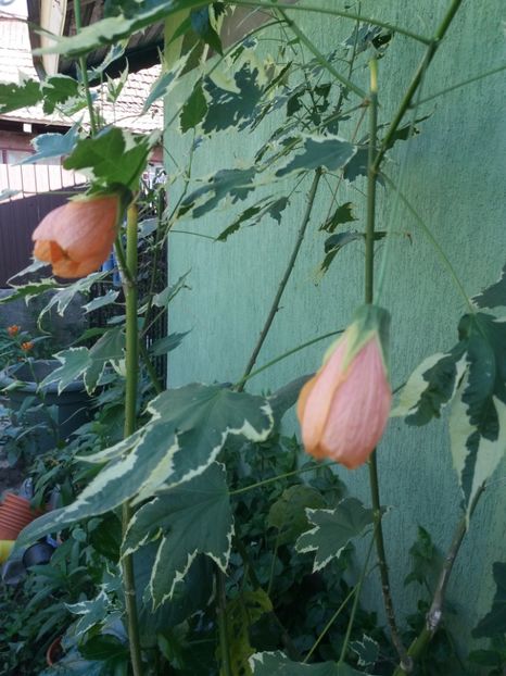  - Retrospectiva 2020