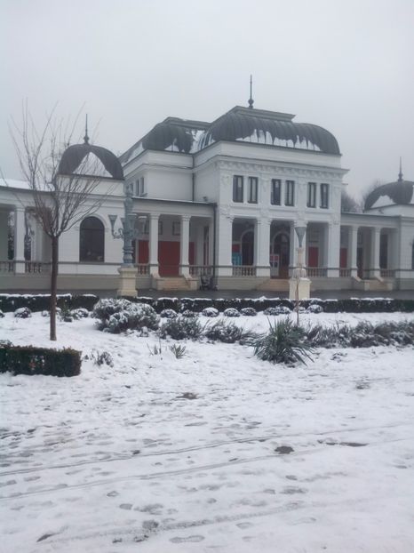  - CLUJ-NAPOCA