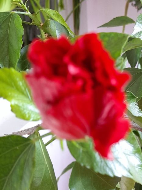  - Un nou inceput 2021