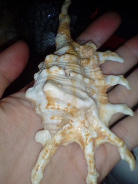  - Vase decorative lut ceramica aranjamente