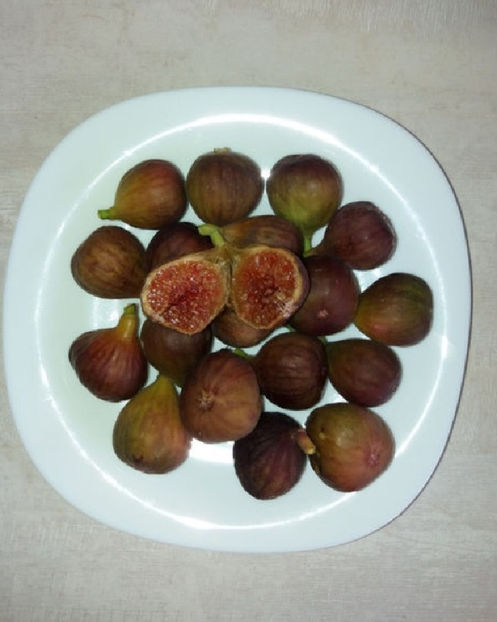 smochi fructe maro - Smochin Românesc cu Fruct Maro Craiova