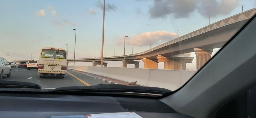  - Dubai