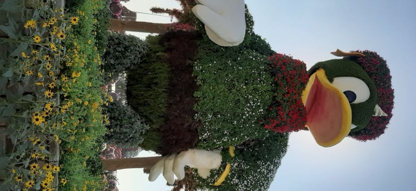  - Dubai