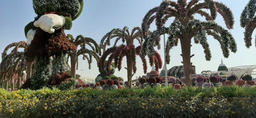  - Dubai