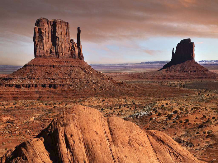 Desert Landscape - maimutica incaltata