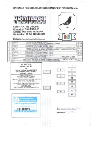 Pedigreu M-388391-08