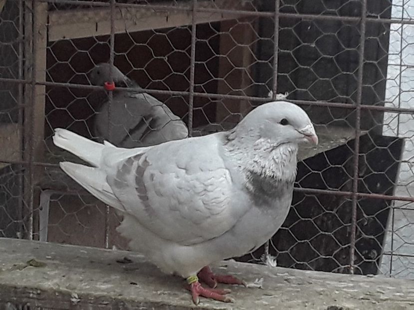 20210127_121317(0) - CONTACT