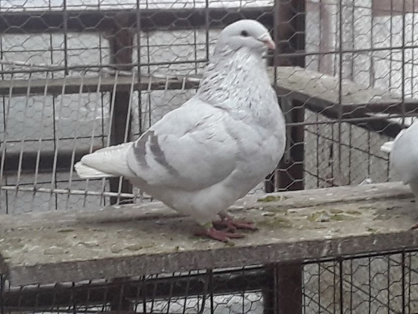 20210127_122818(0) - CONTACT