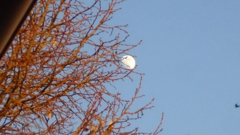 Luna in crestere in Gemeni - Luna - Soarele si norii - 2