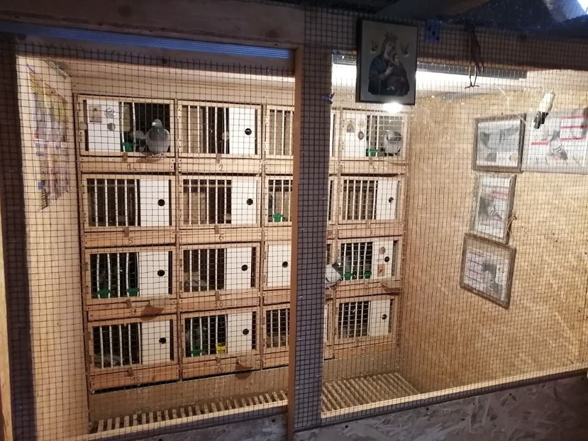  - 2021-ianuarie-15-imperechere matca