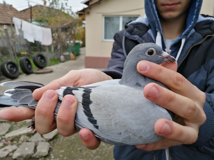  - 2021-ianuarie-diverse