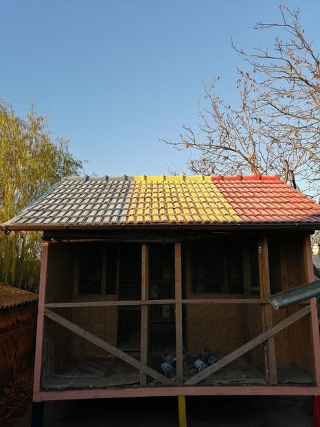  - 2021-ianuarie-diverse