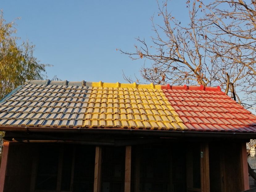  - 2021-ianuarie-diverse