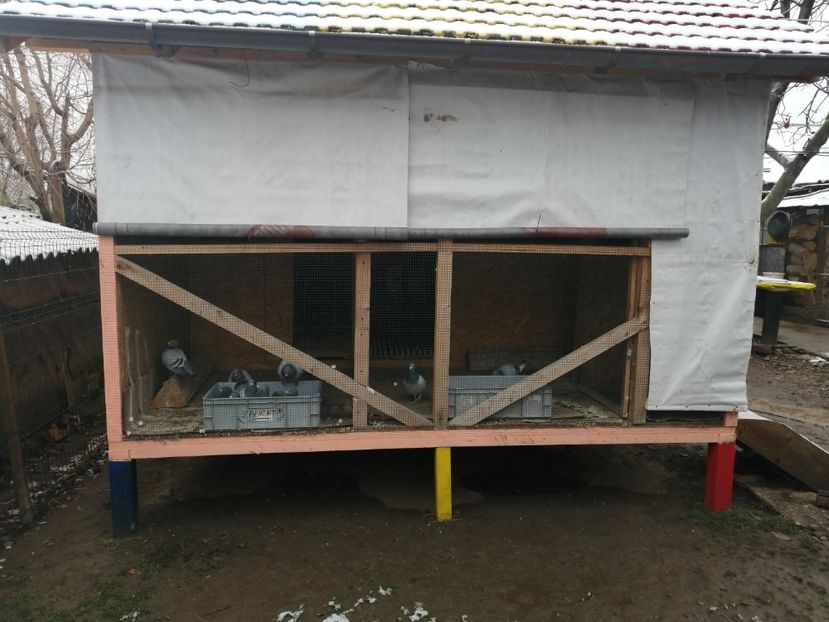  - 2021-ianuarie-diverse