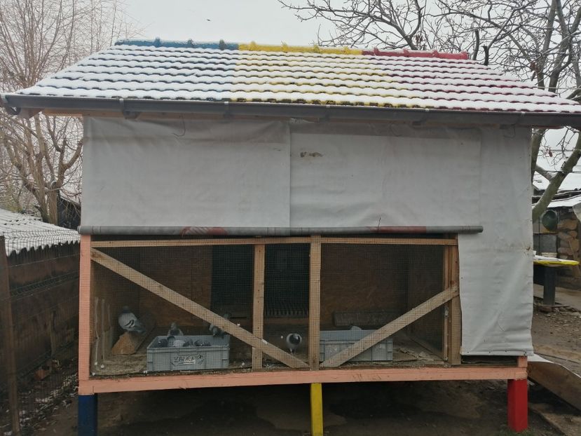  - 2021-ianuarie-diverse