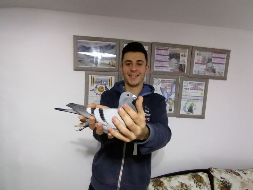  - 2021-ianuarie-diverse