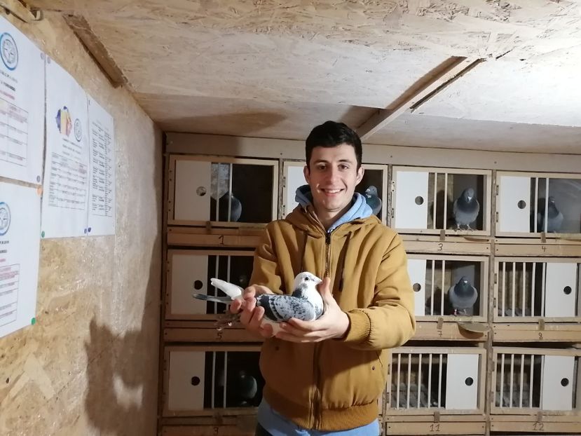  - 2021-ianuarie-diverse