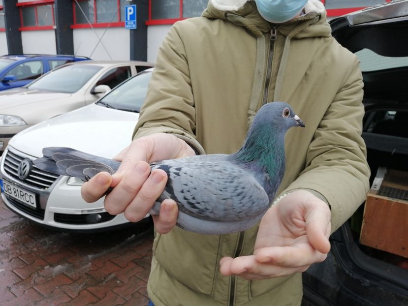  - 2021-ianuarie-diverse