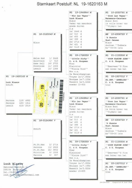 163ped - Porumbei super top 2020 achizitii