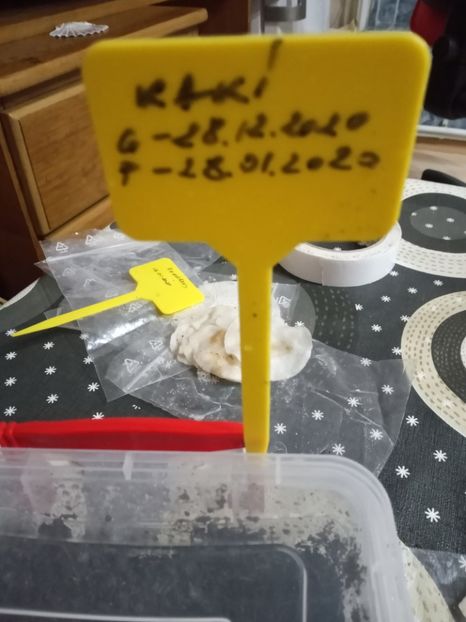 După o lună de discheta - Kaki