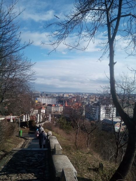  - CLUJ-NAPOCA