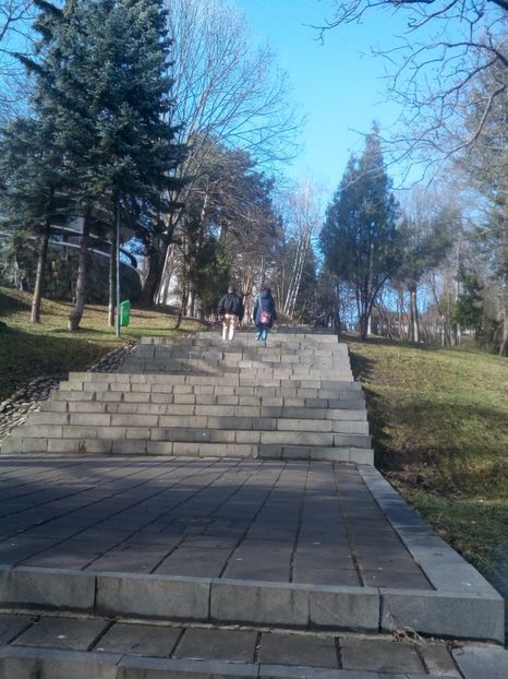  - CLUJ-NAPOCA