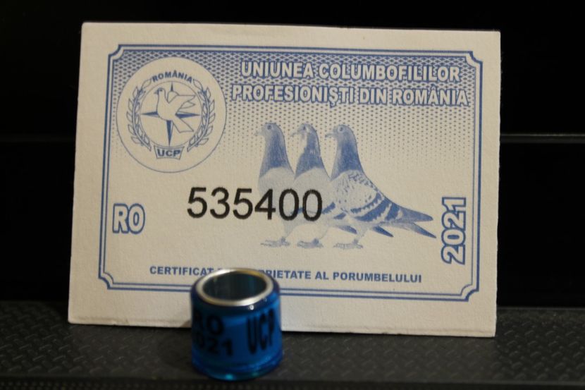 RO UCP 2021 - COLECTIE  DE INELE   ROMANIA