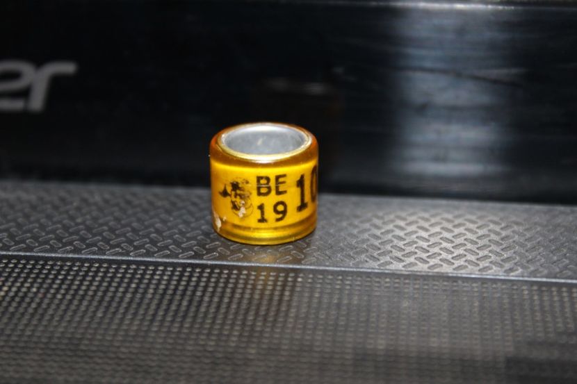 BELG 2019 - INELE PENTRU SCHIMB csere gyuru