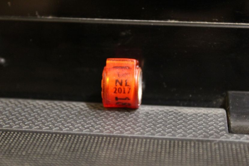 NL 2017 - INELE PENTRU SCHIMB csere gyuru