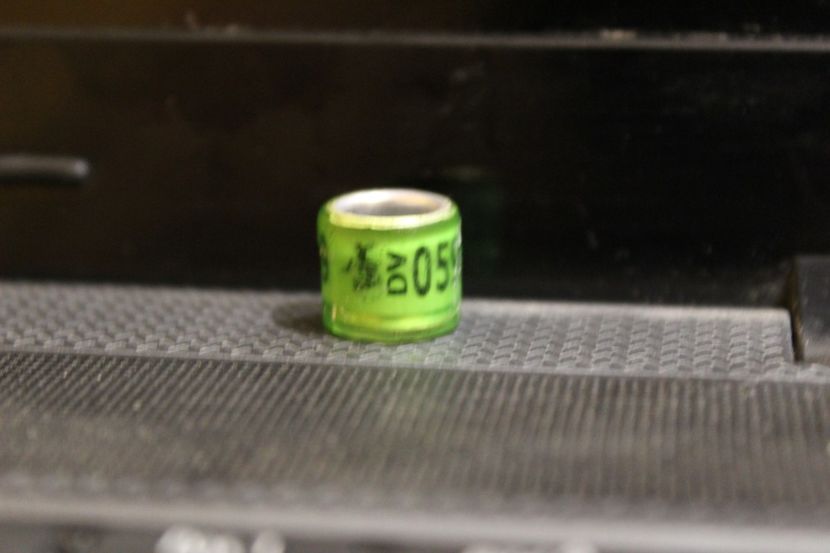 DV 2O18 - INELE PENTRU SCHIMB csere gyuru