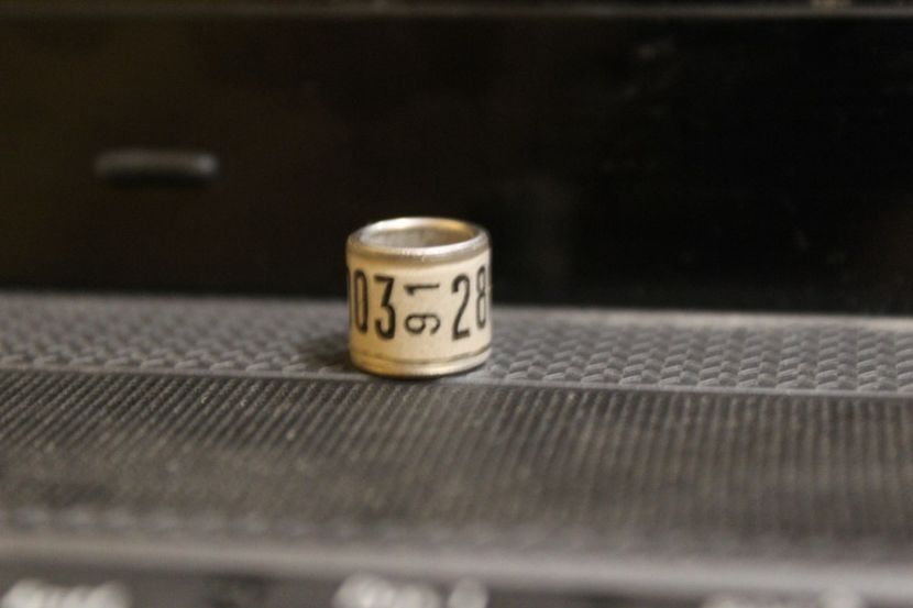 DV 91 - INELE PENTRU SCHIMB csere gyuru