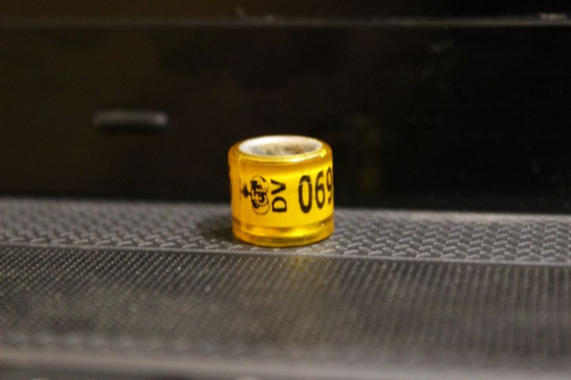 DV 2O19 - INELE PENTRU SCHIMB csere gyuru